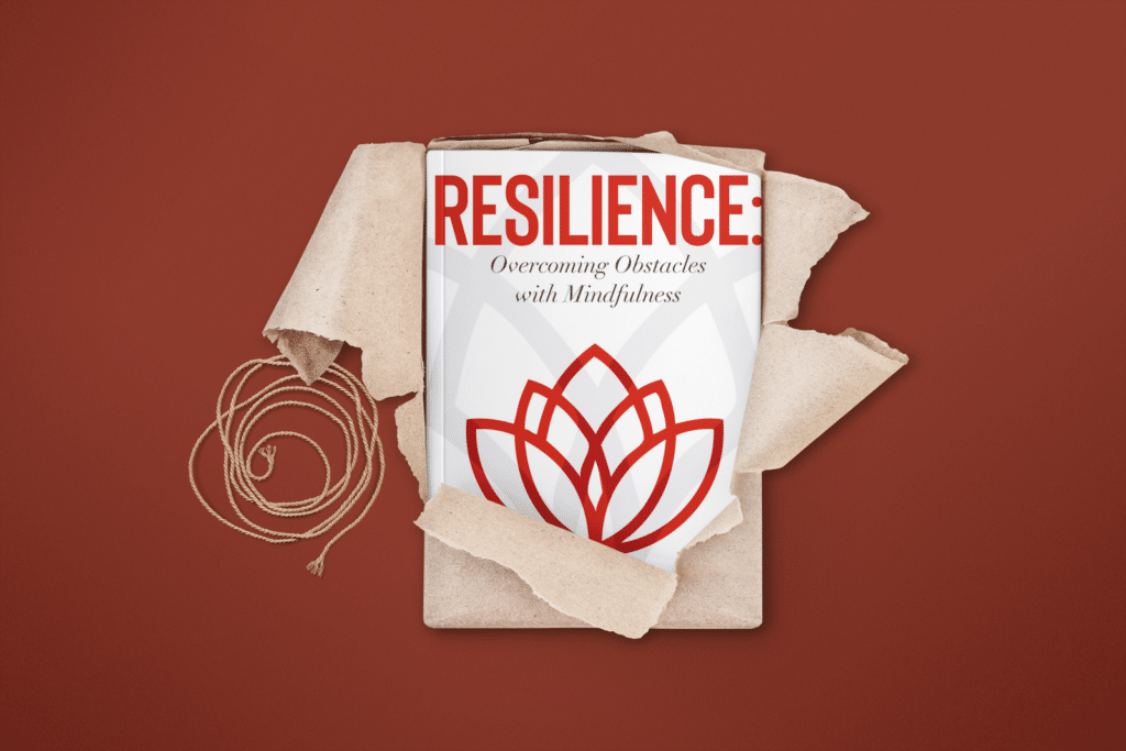 Resilience Book